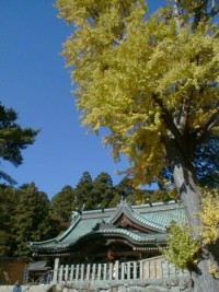Fall Leaves at Mount Tsukuba Shrine