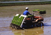 This sure beats the old style of planting by hand!