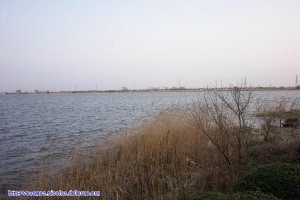 Ushiku Pond