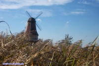 Windmill in Kasumigaura Park.