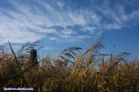 The windmill in Kasumigaura Park.